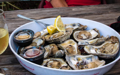 oysters new orleans