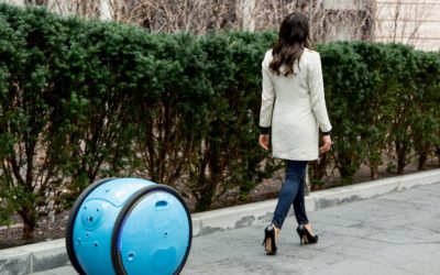 Gita robot suitcase